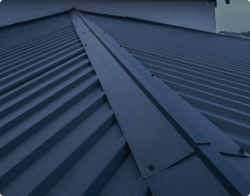 Сопутствующие товары